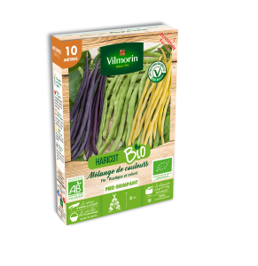 Haricot Grimpant en Mélange de Couleurs - 10 m - BIO